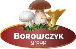 U BORÓWEK